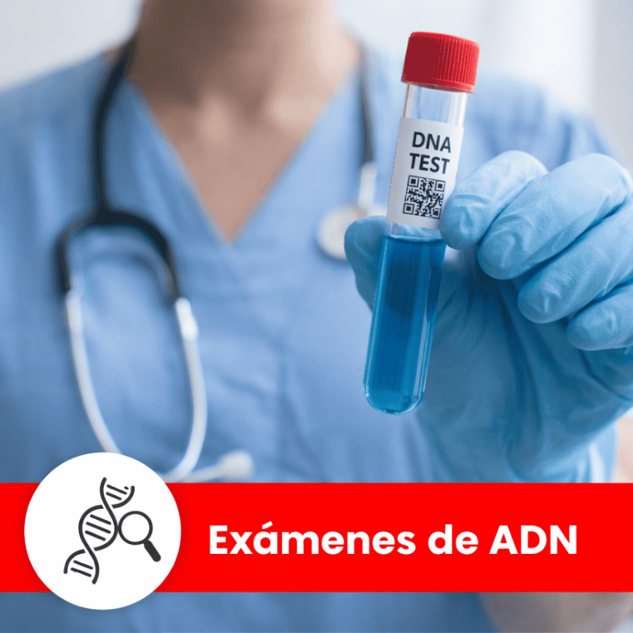 Promoción y prevención